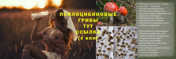 соль курить ск Бронницы