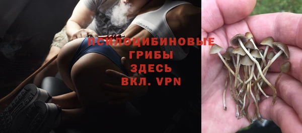 каннабис Богородицк