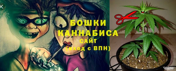 дмт Богданович