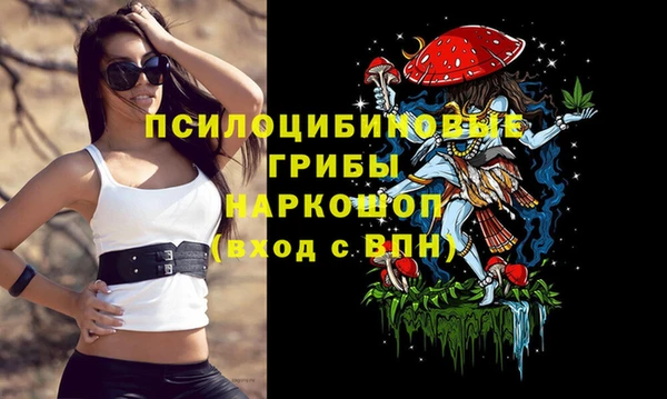 каннабис Богородицк