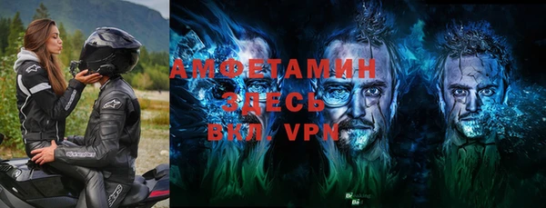 дмт Богданович