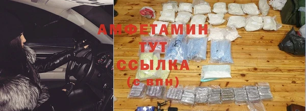 дмт Богданович
